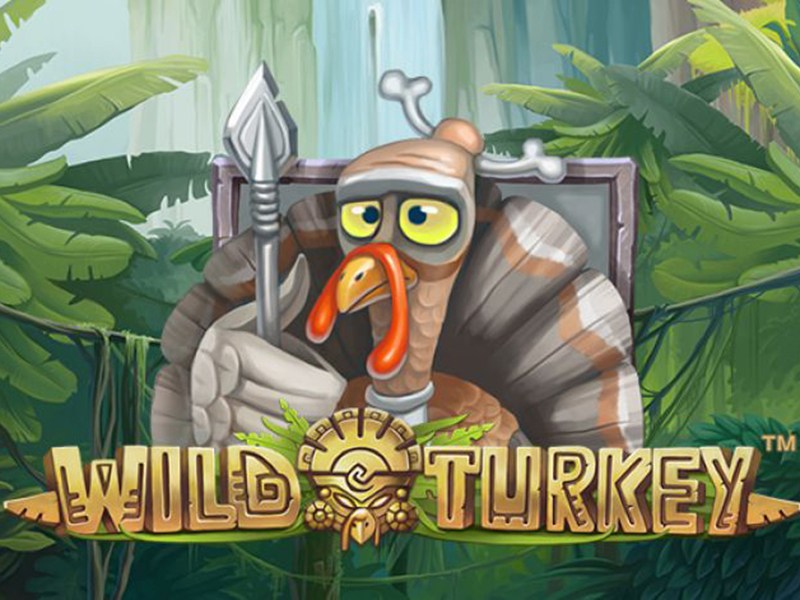 Best Wild Turkey 30327