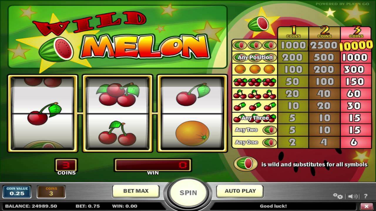 Wild Melon slot 22620